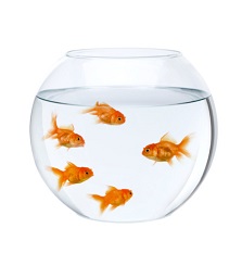 Ricomincio da tre&nbsp;virgola