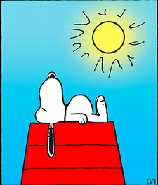 FRANCESCO D’ASSISI Cantico di frate&nbsp;sole