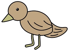 TRILUSSA La statistica